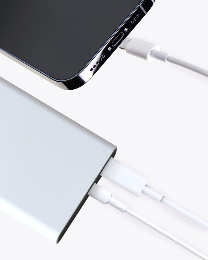 Fast-Charge Power Bank