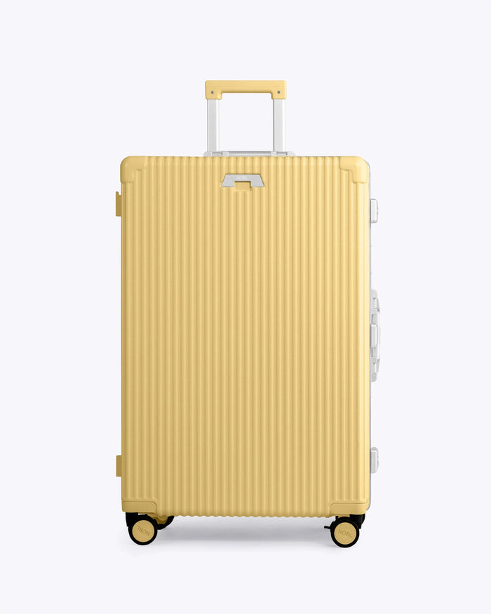 Carry-on + Check-in