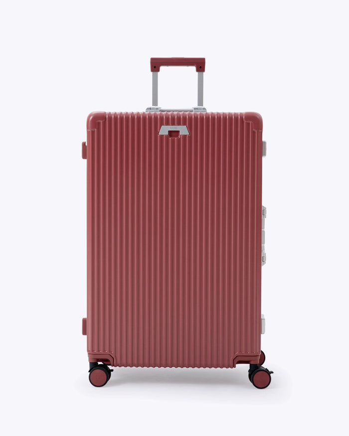 Carry-on + Check-in