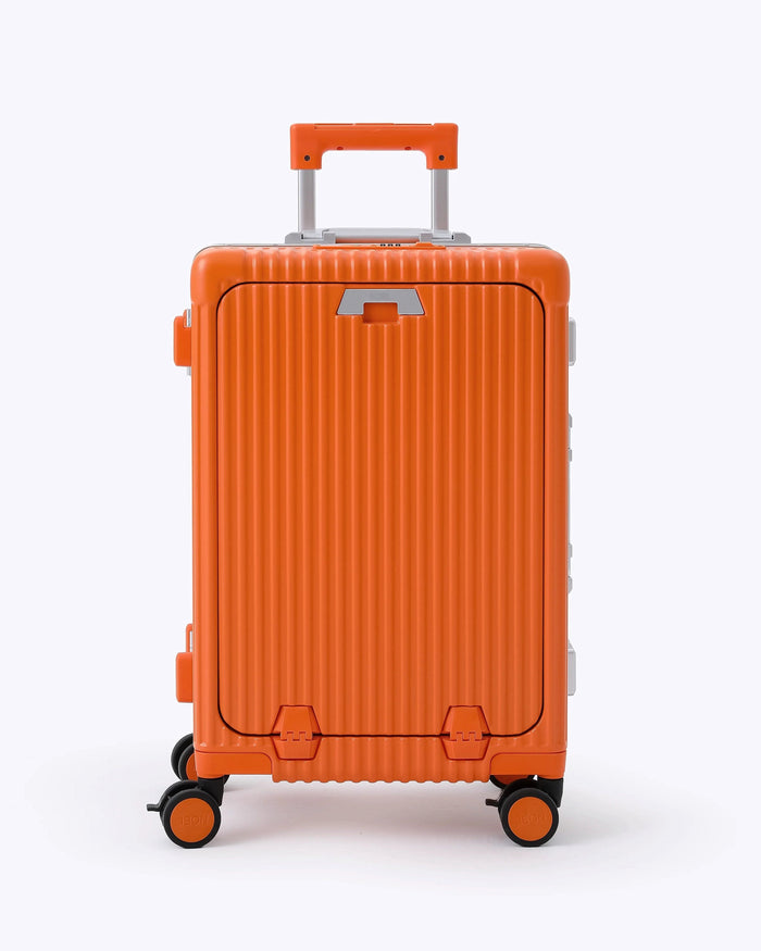 Carry-on + Check-in